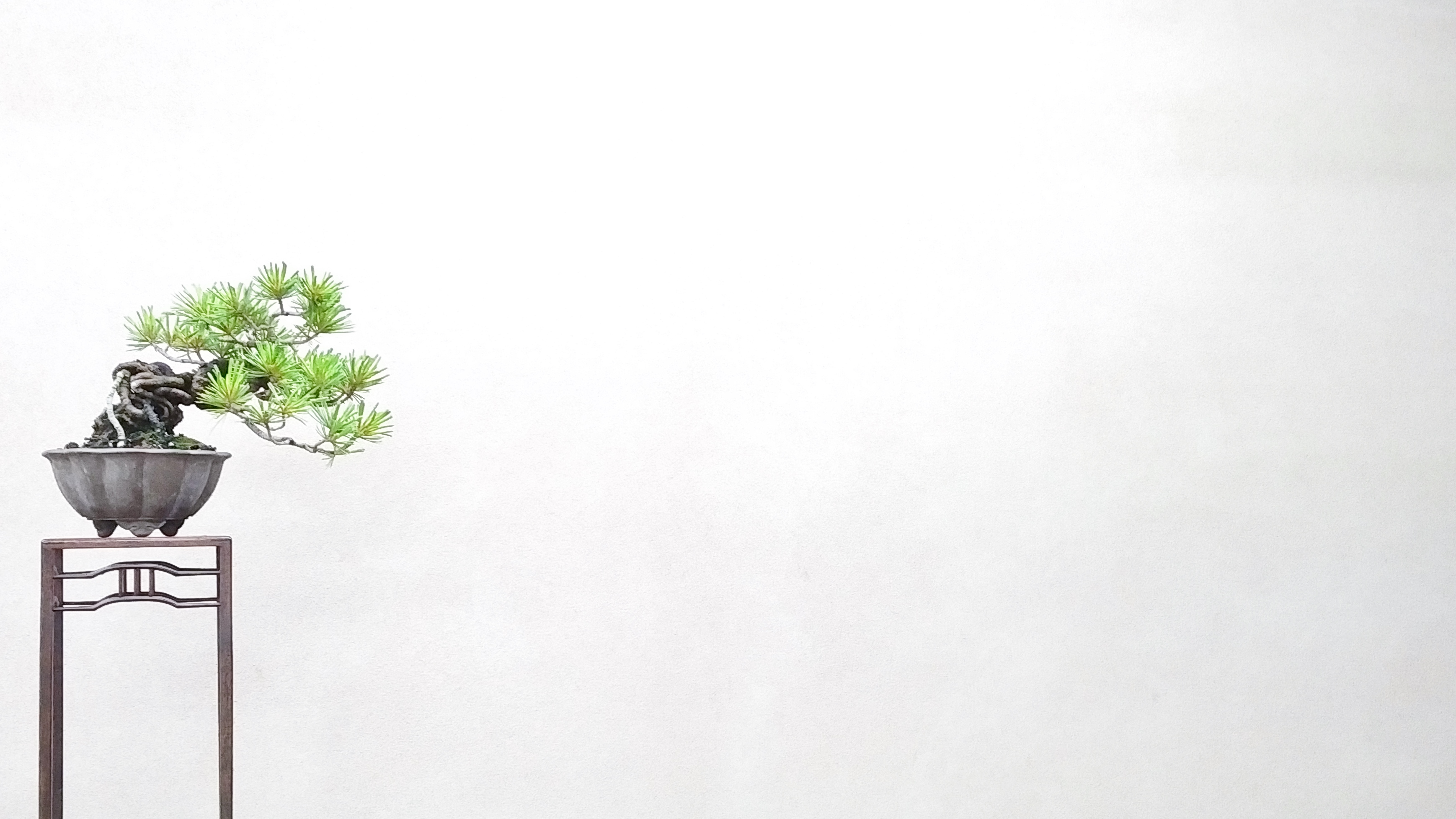 美芸　小品盆栽 公式】52TOYS BLINDBOX QUE SERAシリーズ MODERN ANCIENTS ART BONSAI